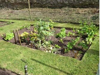 Aldborough Roman Garden